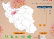 اینفوگرافیک/ وضعیت ویروس کرونا در ایران