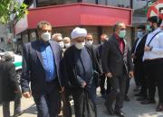 عکس/ محسن رهامی هم آمد