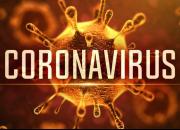 ۸۰ درصد مبتلایان به کرونا بالای ۶۰ سال هستند