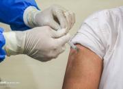 ادامه سریال دنباله‌دار واکسن‌خواری در گلستان