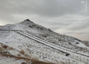 عکس/ یزد هم برف بارید