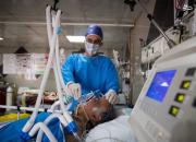 فوت ۳۹۱ بیمار کووید۱۹ در شبانه روز گذشته/ ۳۰۰۹ بیمار جدید بستری شدند