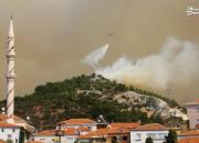 عکس/ آتش سوزی گسترده در اراضی جنگلی ترکیه