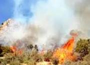 3.5 هکتار از جنگل‌های کیاسر در آتش سوخت