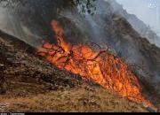 ۲۰۰ هکتار از جنگل‌های گچساران در آتش سوخت