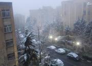 عکس/ آخرین برف قرن در تهران