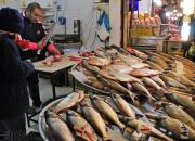 قیمت روز انواع ماهی در بازار +جدول