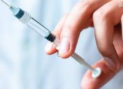 موفقیت دومین واکسن ستاد اجرایی فرمان امام در مرحله حیوانی