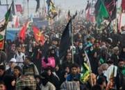 حضور بیش از ۱۰۰ ملیت در حماسه اربعین