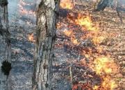 مهار آتش جنگل‌های مرزن‌آباد توسط بالگردهای سپاه