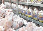 عرضه روزانه ۲ هزار تن مرغ گرم و منجمد