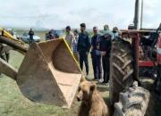 بازداشت مقصر تلف شدن یک قلاده خرس در نمین