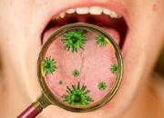 کروناویروس در غدد بزاق دهان تکثیر می‌شود