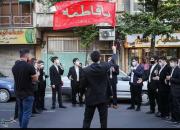 عکس/ جشن میلاد امام حسن مجتبی(ع) در خیابان‌های تهران