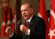 درخواست اردوغان از گروه دی۸ درباره معامله با ارز محلی
