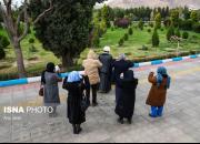 عکس/ خانه ابدی بیماران کرونایی در اصفهان