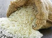  برنج ایرانی گران شد +قیمت
