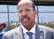 وزیرخارجه جیبوتی: آمریکا اجازه ندارد از کشور ما به اتیوپی حمله کند