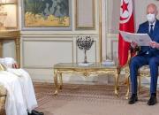 دیدار مشاور رئیس امارات با رئیس جمهور تونس