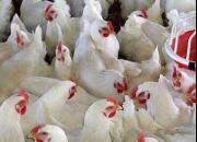 4 میلیارد دلار ارزی که طی 4 ماه هرز رفت