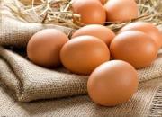 خرابکاری در صادرات تخم مرغ