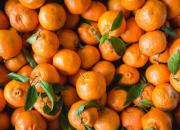 پشت‌پرده نارنگی‌های قشنگ نوبرانه در بازار میوه
