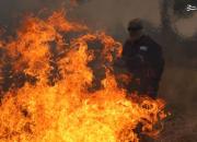 عکس/ آتش سوزی گسترده در جنگل‌های آرژانتین