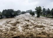 فیلم/ سیلاب پُل روستایی در مازندران را بُرد