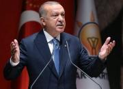 اردوغان: ترکیه نیروی نظامی به لیبی اعزام می‌کند