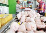 مرغداران به دنبال افزایش دوباره قیمت مرغ هستند 