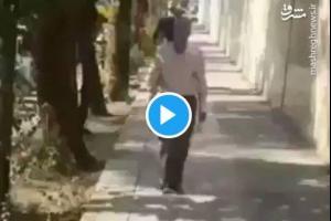 دبیر بازنشسته به داد توریست لهستانی رسید +فیلم