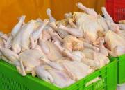 قیمت مرغ و گوشت در ریل کاهش قیمت