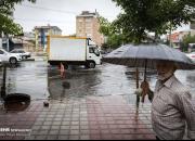 پیش بینی باران "قابل ملاحظه" در ۴ استان