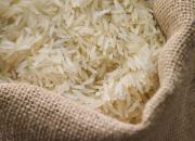 تاکید نماینده مجلس بر بازنگری در تعرفه‌گذاری ‎واردات برنج