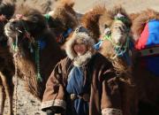 رکوردزنی با شتر، از مغولستان تا انگلستان