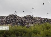 عکس/ دفن غیراصولی زباله در جنگل‌های سراوان