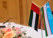 جزئیات رایزنی‌های سیاسی امارات و ازبکستان