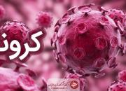 ۱۱۱۲ بیمار جدید مبتلا به کرونا در کشور شناسایی شد/ ۷۲۴۳۹ نفر از بیماران، بهبود یافته‌اند