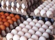ثبات قیمت تخم مرغ طی یک ماه اخیر در بازار