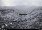 عکس/ روز برفی پل ورسک