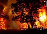 کلانتری: آتش‌سوزی جنگل‌ها را بزرگ نکنید!