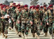 فیلم/ درگیری ارتش افغانستان با طالبان در هرات