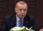 اردوغان: ترکیه تا زمانی که دیگر کشورها سوریه را ترک نکنند نمی‌رود