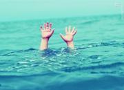 غرق شدن دوقلوهای ۲ و نیم ساله در استخر
