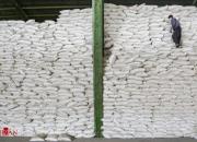 جزییاتی از توزیع برنج خارجی به بازار در فروردین