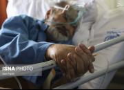 عکس/ بیمارستان پیامبر اعظم کرمان در وضعیت قرمز کرونایی