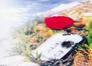 چشمان رنگی این شهید را کسی ندید +عکس
