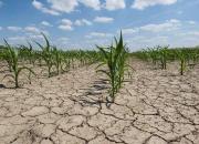 میزان خسارت خشکسالی به بخش کشاورزی