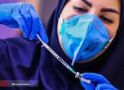 پیشرفت پروژه ساخت واکسن کوو ایران برکت، شگفت‌انگیز است