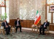 تاکید قالیباف بر توسعه روابط پارلمانی و ارتقای همکاری‌های ایران و لهستان